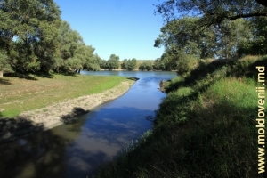 Устье реки Бык между селами Гура Быкулуй и Варница
