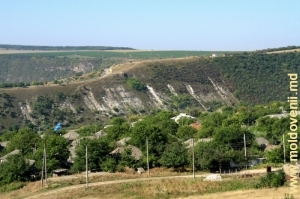 Вид на село Требужень со склона ущелья, видна дорога, на дальнем плане западный склон скального массива над долиной Реута