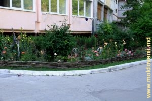 Straturi decorative de flori şi un colţişor de odihnă de-a lungul casei 4 din strada Sadoveanu