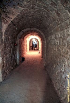 Parterul și încăperile subsolului castelului, septembrie 2015