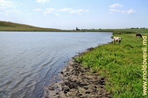 Lacul de acumulare de pe rîul Racovăţ din satul Clocuşna, Ocniţa
