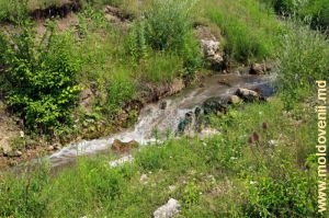 Безымянный ручей, впадающий в ручей Вэратик