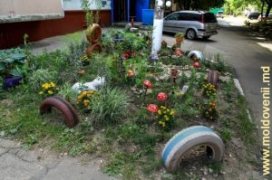 Straturi decorative de flori lîngă blocul 20/2 din strada Sadoveanu