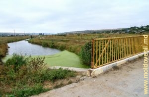 Rîul Lăpușna în partea centrală a satului Lăpușna și podul peste rîu