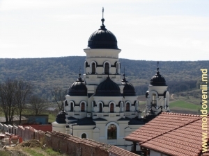 Vedere spre biserica nouă a Mănăstirii Căpriana de pe uliţa de sus a satului