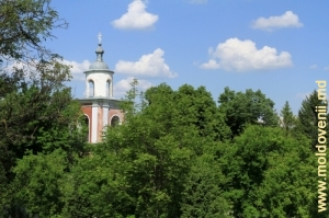 Cupola Bisericii de iarnă a Mănăstirii Hîrbovăţ, vedere din parc
