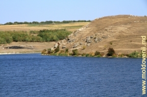 Toltrele de-a lungul lacului de acumulare Racovăţ în partea lui superioară