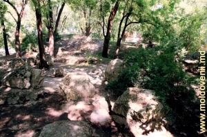 Валуны на Восточном холме, наверху скала с водопадом