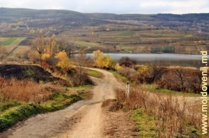 Долина реки Бык и водохранилище у села Петичень