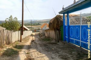 Ulicioară, satul Pașcani, Hîncești