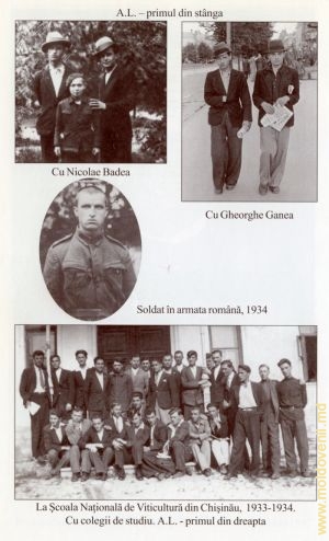 А.Л. – первый справа
              С Николаем Бадя
             С Георгием Ганя
            Солдат в Румынской армии, 1934
            В национальной школе виноградарства в Кишиневе, 1933-1934. С коллегами по школе. А. Л. – первый справа
