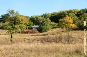 Окраина села Веверица, Кэлэраш. Октябрь
