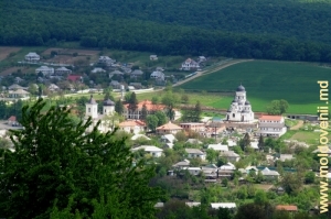 Vedere spre Mănăstirea Căpriana de pe platoul de observaţie vara