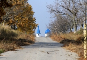 Drumul spre Mănăstirea Frumoasa - toamna