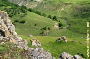 Vedere spre valea rîului Racovăţ din vîrful şirului de toltre, sus de Ocolul Silvic „La Castel”