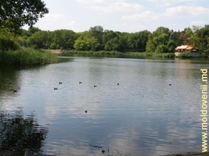 Unul din lacurile din parcul Valea Trandafirilor