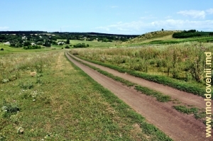Drumul din valea Racovăţului din preajma satului Halahora de Jos, Briceni