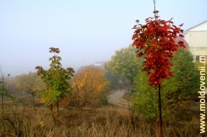 Осенний парк Каларашской районной больницы. Октябрь