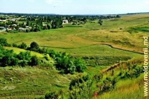 Valea Racovăţului din preajma satului Halahora de Jos, Briceni