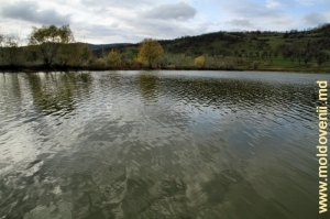 Водохранилище на реке Бык в селе Темелеуць