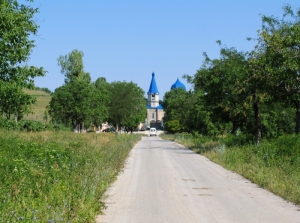 Drumul spre mănăstire- vara, Mănăstirea Frumoasa, Călăraşi