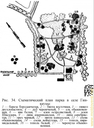 План парка Хинкэуць (из книги П. Леонтьева «Парки Молдавии»)
