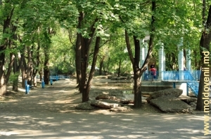 Центр парка с ротондой