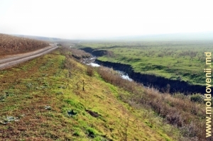Rîul Cuşmirca şi valea rîului dintre satele Ţipordei şi Cuşmirca