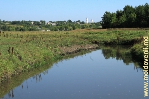 Rîul Ciugur lîngă satul Parcova, raionul Edineţ