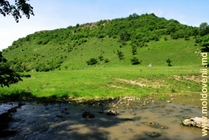Правый склон ущелья, вид через реку Раковэц