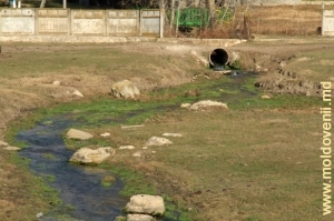 Сброс излишков воды из источника в Реут