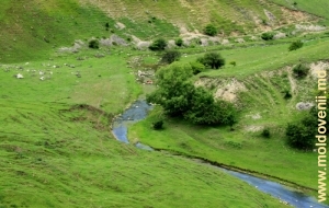 Урочище Ла Кастел, вид с левого склона долины Раковца