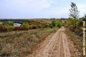 Drumul sus de Prut în preajma satului Bezeda, Briceni