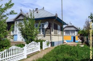 Case tradiţionale moldoveneşti, satul Drepcăuţi