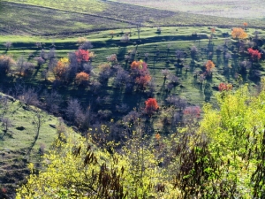 Склон ущелья вблизи монастыря осенью, Монастырь Сахарна, Резина