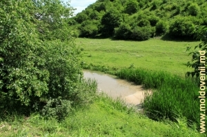 Река Раковэц в Володенском ущелье