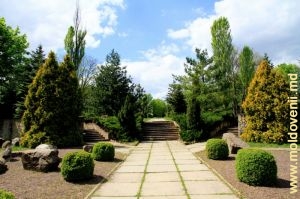 Ботанический сад Кишинева, апрель 2014 