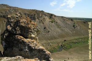 Живописные скалы на вершине правого склона ущелья