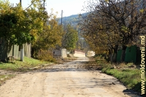 Uliţă a satului, Sadova, Călăraşi