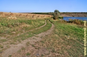 Drumul sus de lacul de acumulare de pe rîul Racovăţ în preajma satului Bădragii Vechi, Edineţ