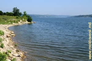 Lacul de acumulare Dubăsari, vara