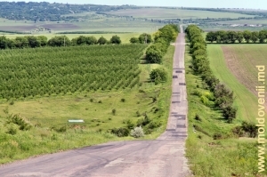 Drumurile raionului Făleşti