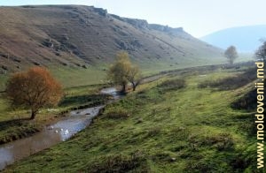 Rîul Ciuhur de-a lungul crestei de la marginea satului