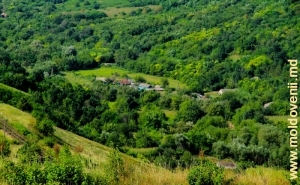 Вид на нижнюю часть села Наславча в долине реки Косэрэу