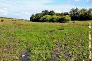 Locul de unde izvorăşte rîul Ciuhur, în apropierea satului Ocniţa, raionul Ocniţa