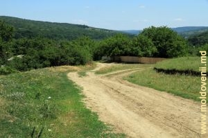 Drumurile de pe panta dealurilor, sus de satul Leordoaia