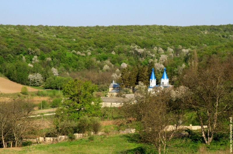 Călătorii de primăvară prin Moldova
