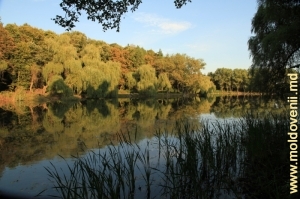 Озеро в Единецком парке осенью