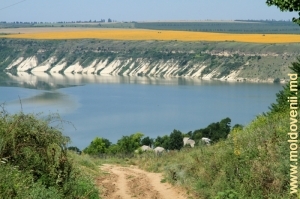 Вид на водохранилище с верхней окраины села Моловата Веке
