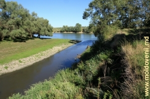 Устье реки Бык между селами Гура Быкулуй и Варница
